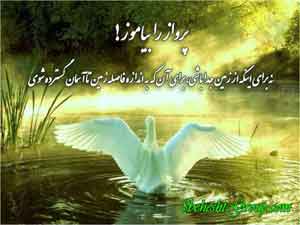 از تیروی عشق برای کسب انرژی مثبت استفاده کنید